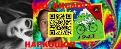 трава Камышлов