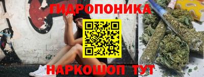 трава Камышлов